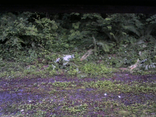 長野県菅平高原 ゆたか山荘 東側(坂下) 2026/07/03 19:15