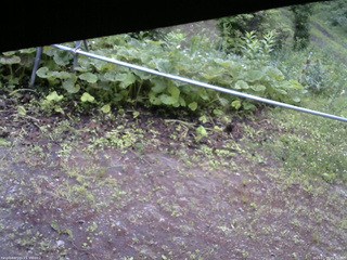 長野県菅平高原 ゆたか山荘 駐車場 2026/07/03 05:30