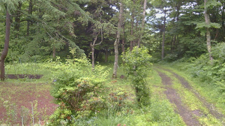 長野県菅平高原 ゆたか山荘 坂上 2026/07/03 05:15