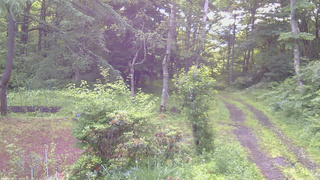 長野県菅平高原 ゆたか山荘 坂上 2026/07/03 06:00