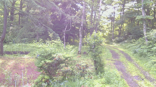 長野県菅平高原 ゆたか山荘 坂上 2026/07/03 06:15