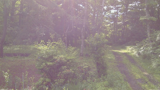 長野県菅平高原 ゆたか山荘 坂上 2026/07/03 07:15