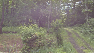 長野県菅平高原 ゆたか山荘 坂上 2026/07/03 07:45