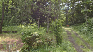 長野県菅平高原 ゆたか山荘 坂上 2026/07/03 08:00