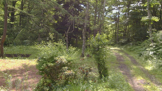 長野県菅平高原 ゆたか山荘 坂上 2026/07/03 08:30