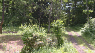 長野県菅平高原 ゆたか山荘 坂上 2026/07/03 09:45
