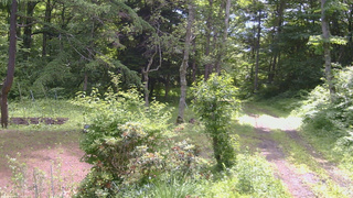 長野県菅平高原 ゆたか山荘 坂上 2026/07/03 10:00