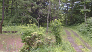 長野県菅平高原 ゆたか山荘 坂上 2026/07/03 10:15