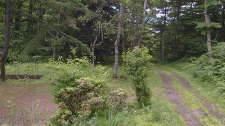 長野県菅平高原 ゆたか山荘 坂上 2026/07/03 10:45