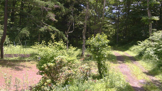 長野県菅平高原 ゆたか山荘 坂上 2026/07/03 11:15