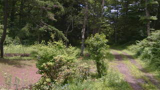 長野県菅平高原 ゆたか山荘 坂上 2026/07/03 11:30