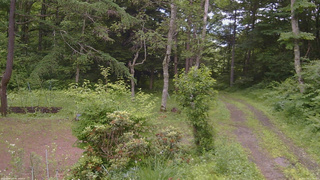 長野県菅平高原 ゆたか山荘 坂上 2026/07/03 12:00