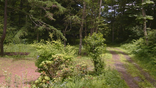 長野県菅平高原 ゆたか山荘 坂上 2026/07/03 12:30