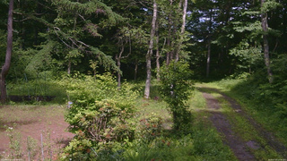 長野県菅平高原 ゆたか山荘 坂上 2026/07/03 14:00