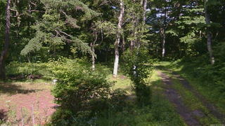 長野県菅平高原 ゆたか山荘 坂上 2026/07/03 14:45