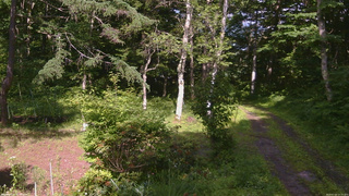 長野県菅平高原 ゆたか山荘 坂上 2026/07/03 15:15