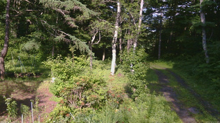 長野県菅平高原 ゆたか山荘 坂上 2026/07/03 16:15