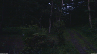 長野県菅平高原 ゆたか山荘 坂上 2026/07/03 19:30