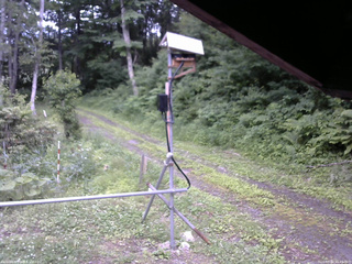 長野県菅平高原 ゆたか山荘 南側 2026/07/04 15:45