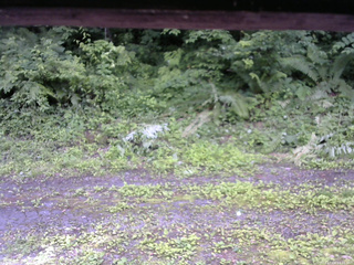 長野県菅平高原 ゆたか山荘 東側(坂下) 2026/07/04 13:45