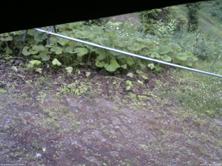 長野県菅平高原 ゆたか山荘 駐車場 2026/07/04 05:00
