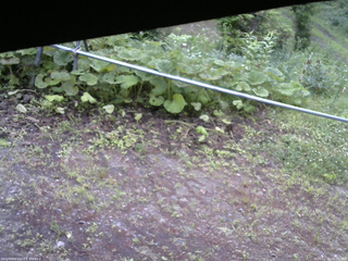 長野県菅平高原 ゆたか山荘 駐車場 2026/07/04 06:00