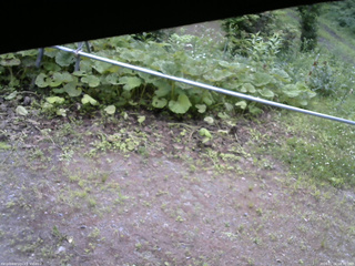 長野県菅平高原 ゆたか山荘 駐車場 2026/07/04 08:30
