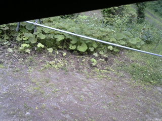 長野県菅平高原 ゆたか山荘 駐車場 2026/07/04 14:00