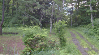 長野県菅平高原 ゆたか山荘 坂上 2026/07/04 05:00