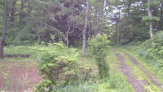 長野県菅平高原 ゆたか山荘 坂上 2026/07/04 05:15