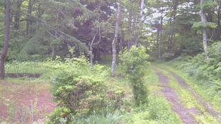 長野県菅平高原 ゆたか山荘 坂上 2026/07/04 05:45