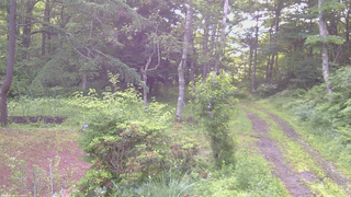 長野県菅平高原 ゆたか山荘 坂上 2026/07/04 06:00