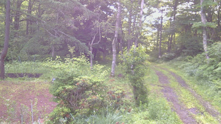 長野県菅平高原 ゆたか山荘 坂上 2026/07/04 06:15