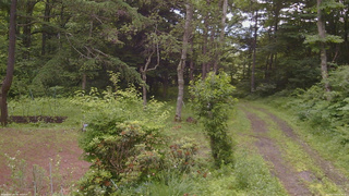 長野県菅平高原 ゆたか山荘 坂上 2026/07/04 08:30