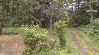 長野県菅平高原 ゆたか山荘 坂上 2026/07/04 08:45