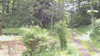 長野県菅平高原 ゆたか山荘 坂上 2026/07/04 09:00