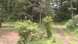 長野県菅平高原 ゆたか山荘 坂上 2026/07/04 10:15