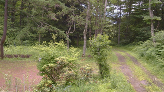 長野県菅平高原 ゆたか山荘 坂上 2026/07/04 11:15