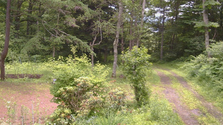 長野県菅平高原 ゆたか山荘 坂上 2026/07/04 11:30