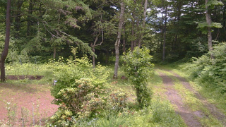 長野県菅平高原 ゆたか山荘 坂上 2026/07/04 11:45