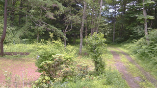 長野県菅平高原 ゆたか山荘 坂上 2026/07/04 12:15
