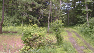 長野県菅平高原 ゆたか山荘 坂上 2026/07/04 12:45