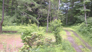 長野県菅平高原 ゆたか山荘 坂上 2026/07/04 13:00