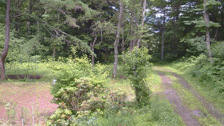 長野県菅平高原 ゆたか山荘 坂上 2026/07/04 13:15