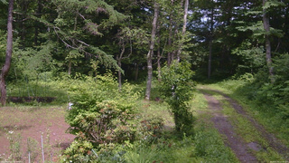 長野県菅平高原 ゆたか山荘 坂上 2026/07/04 13:45