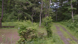 長野県菅平高原 ゆたか山荘 坂上 2026/07/04 14:15