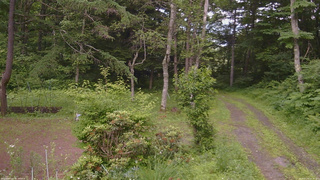 長野県菅平高原 ゆたか山荘 坂上 2026/07/04 15:30