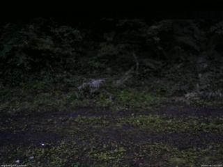 長野県菅平高原 ゆたか山荘 東側(坂下) 2026/07/05 19:15
