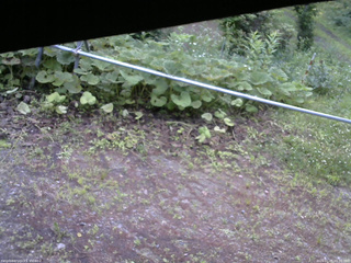 長野県菅平高原 ゆたか山荘 駐車場 2026/07/05 05:30