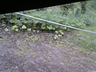 長野県菅平高原 ゆたか山荘 駐車場 2026/07/05 05:45